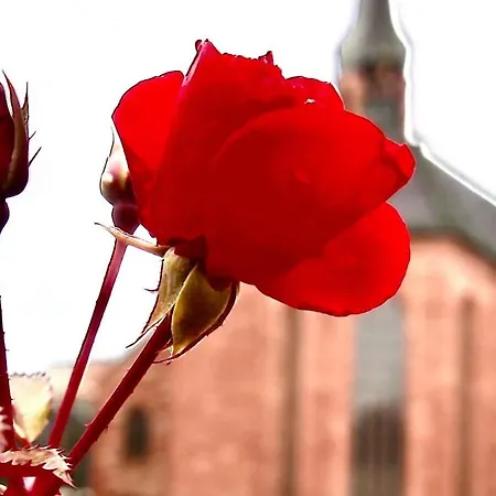 Apartamento Lagerhaus Gabriel-oasen In Der Stadt Zweibrücken