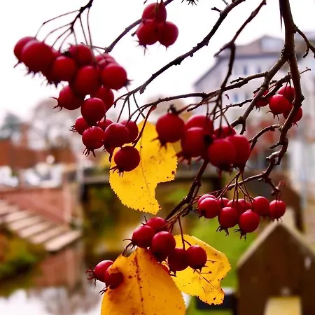 Lagerhaus Gabriel-oasen In Der Stadt