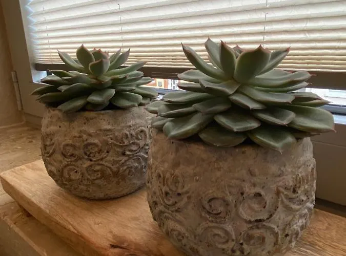 Lagerhaus Gabriel-oasen In Der Stadt Apartment