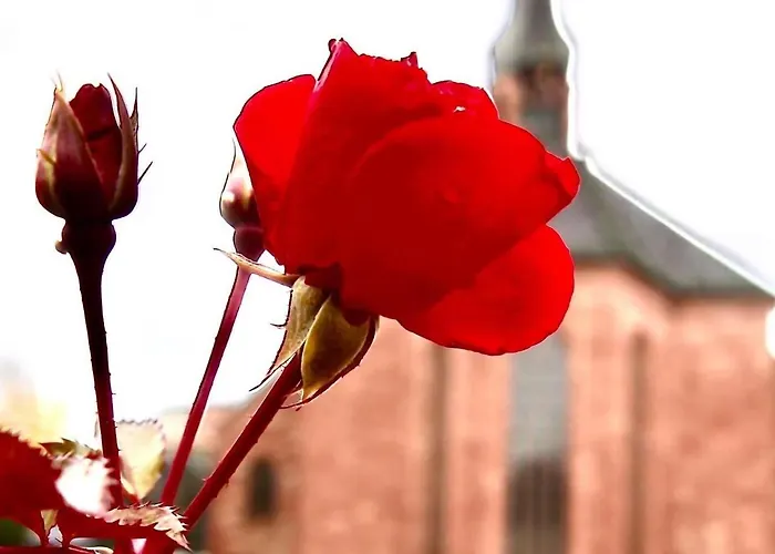 דירה Lagerhaus Gabriel-oasen In Der Stadt Zweibrücken