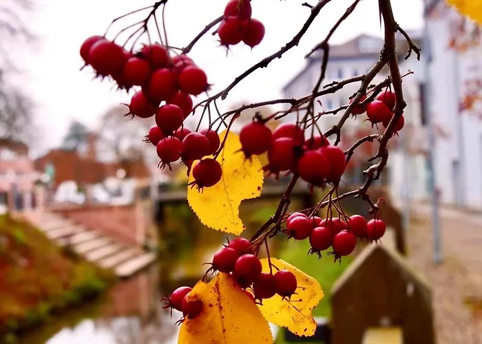 Lagerhaus Gabriel-oasen In Der Stadt